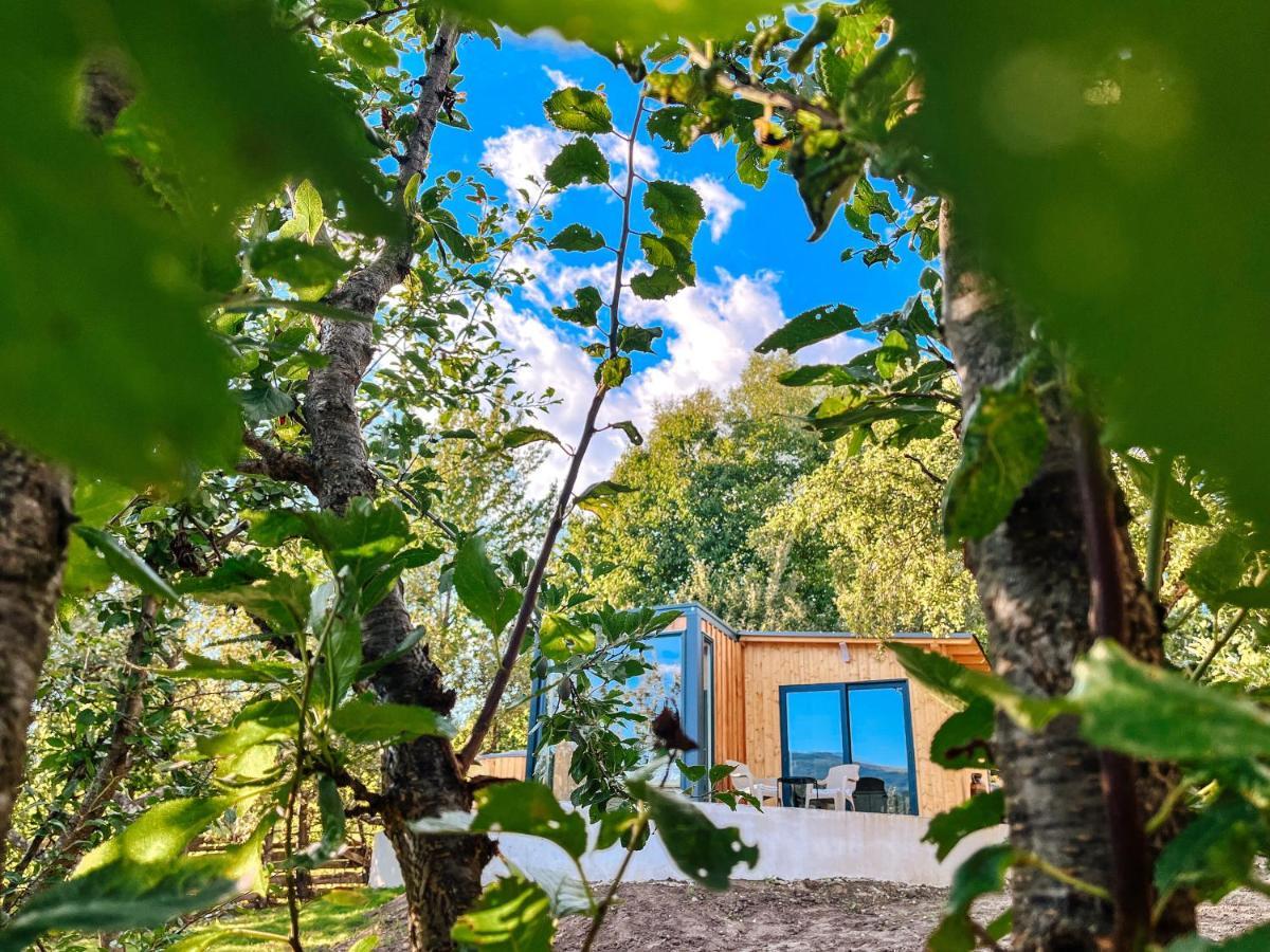 Elysian Fields - The Island Tiny House Bed & Breakfast Sadu Exterior photo